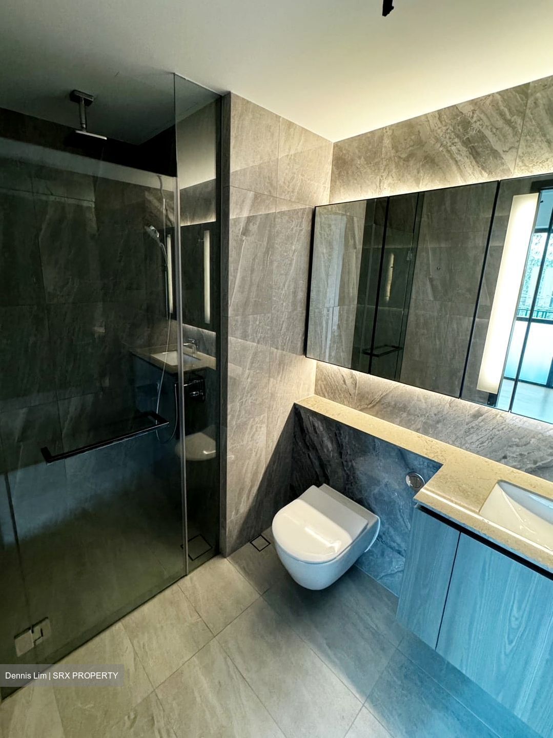 Piccadilly Grand (D8), Apartment #503524731